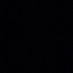 Meet your Posher, Brady